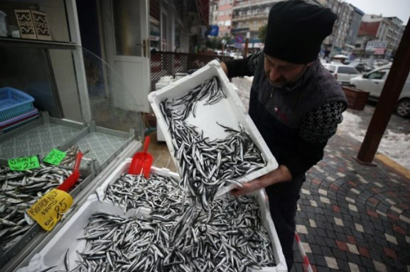 Hamsinin fiyatı 25 liraya düştü