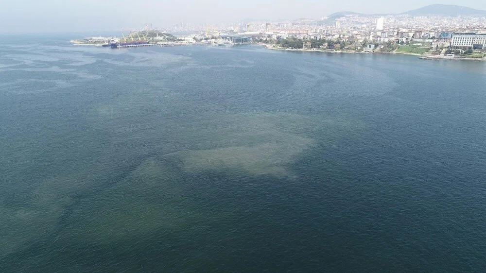Korkutan görüntü: Müsilaj İstanbul'a geri mi dönüyor?