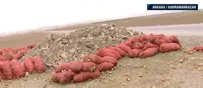 Tonlarca soğan ziyan oldu: Stokçuluk skandalı!