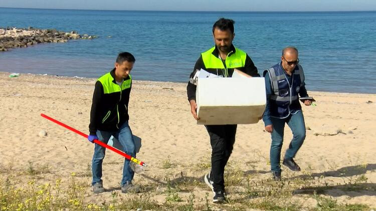 Karadeniz'in rengi kızıla döndü