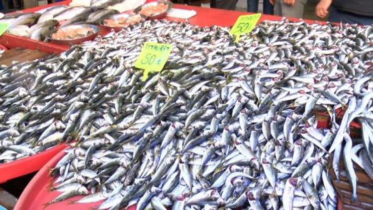 Balık tezgahlarının yeni gözdesi istavrit