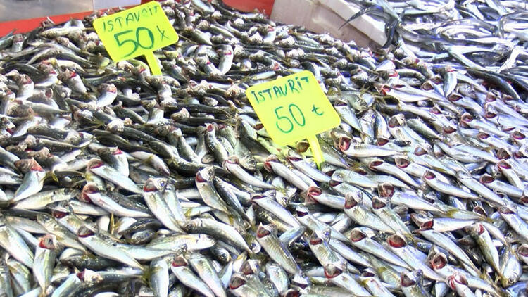Balık tezgahlarının yeni gözdesi istavrit