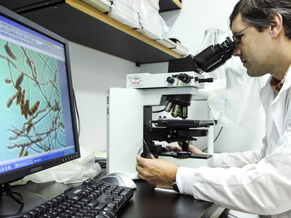 Fungal menenjit salgını alarmı!