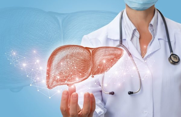 Vücudun bekçisi karaciğerin en iyi dostu şifalı besin!