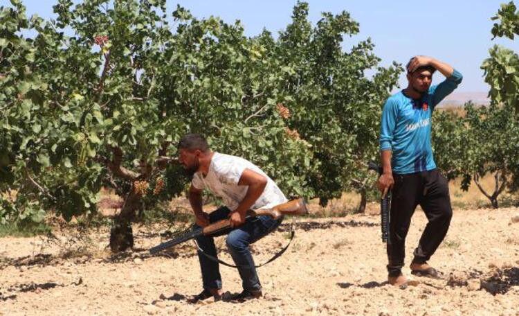 'Yeşil Altın'ı günlük 1000 liraya koruyorlar