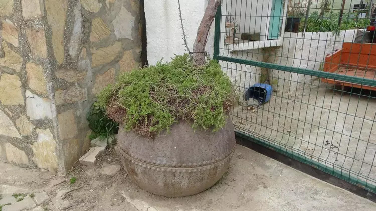 Çanakkale Savaşı'nın izlerini taşıyor: Açık hava sergisi gibi!
