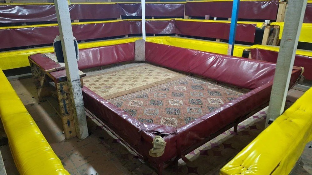 Hayvanları koruma derneğinde horoz dövüşü