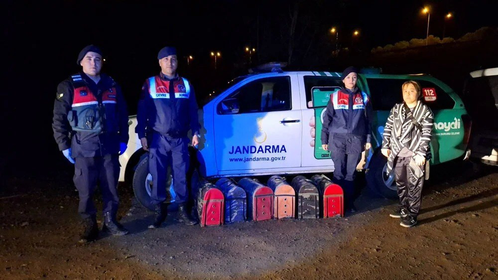 Hayvanları koruma derneğinde horoz dövüşü