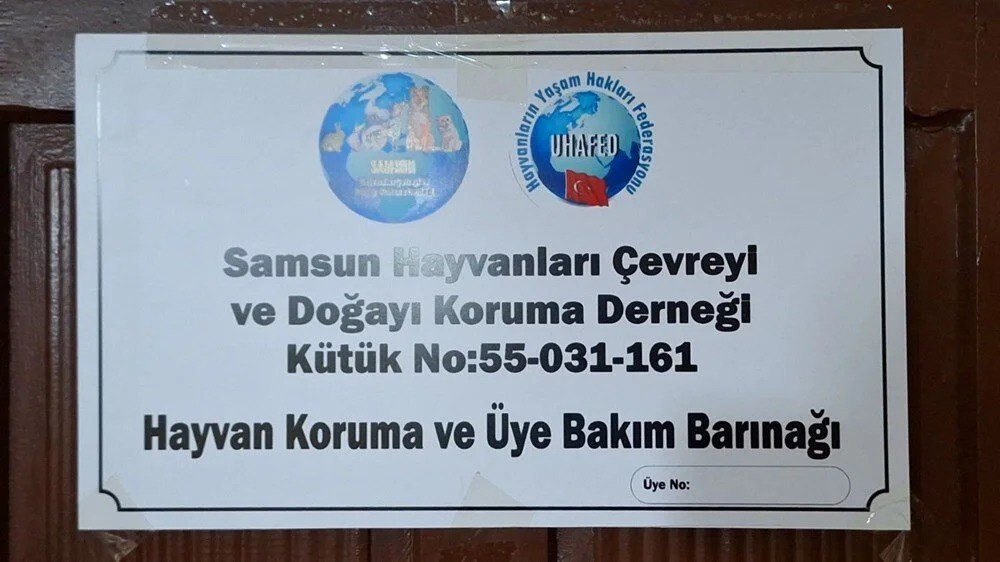 Hayvanları koruma derneğinde horoz dövüşü
