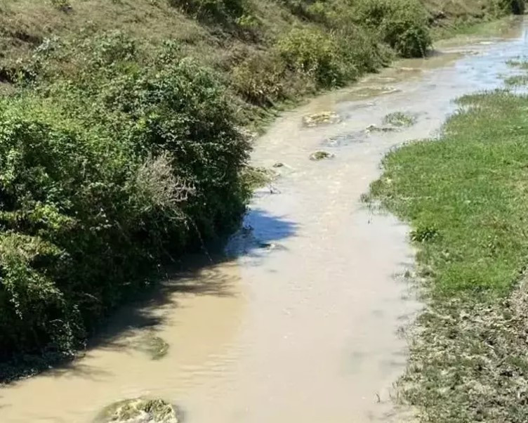 Milyonluk ceza durduramadı! Beyaz et firması dereyi kirletmeye devam etmiş