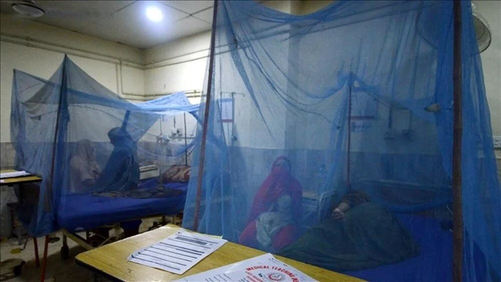 Bangladeş'te dang humması alarmı: Bir günde 463 kişi hastaneye kaldırıldı!