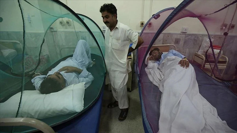Bangladeş'te dang humması alarmı: Bir günde 463 kişi hastaneye kaldırıldı!