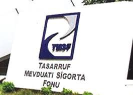 TMSF'ye köprü banka yetkisi