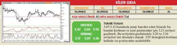21 hisselik teknik analiz
