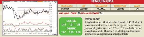 21 hisselik teknik analiz