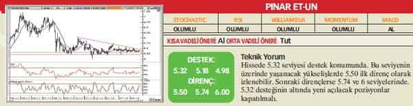 21 hisselik teknik analiz