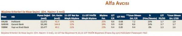 Büyüme kriterlerine göre hisse seçimi