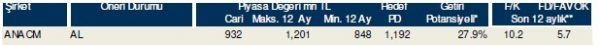 85 hisselik dev analiz