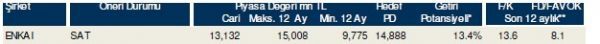 85 hisselik dev analiz