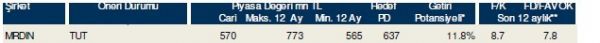 85 hisselik dev analiz
