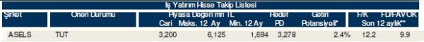 85 hisselik dev analiz