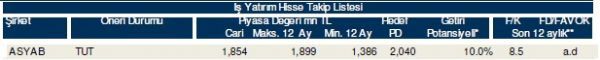 85 hisselik dev analiz