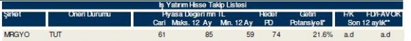 85 hisselik dev analiz
