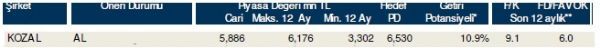 85 hisselik dev analiz