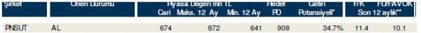 85 hisselik dev analiz