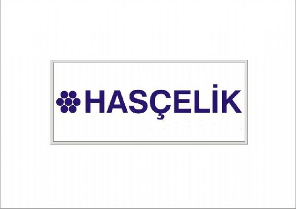 İşte Anadolunun 100 devi