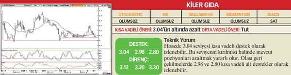 22 hisselik teknik analiz