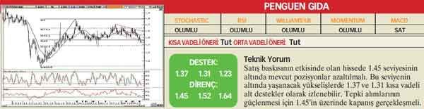 22 hisselik teknik analiz