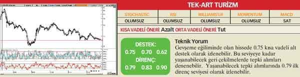 22 hisselik teknik analiz