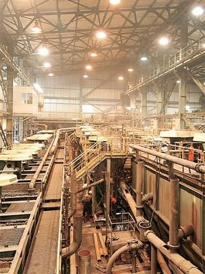 İşte Türkiye'nin en karlı şirketleri