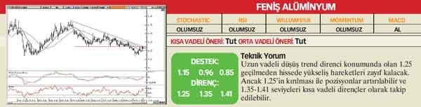 21 hisselik teknik analiz