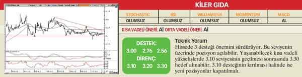 21 hisselik teknik analiz