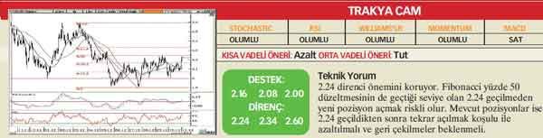 21 hisselik teknik analiz