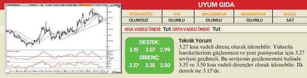 21 hisselik teknik analiz
