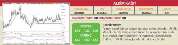 22 hisselik teknik analiz