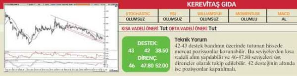 22 hisselik teknik analiz