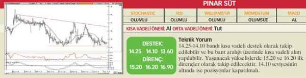 22 hisselik teknik analiz