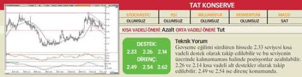 22 hisselik teknik analiz