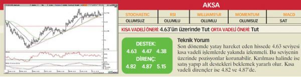 22 hisselik teknik analiz