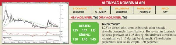 22 hisselik teknik analiz