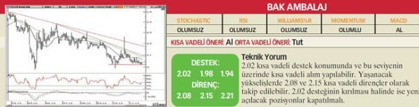 22 hisselik teknik analiz