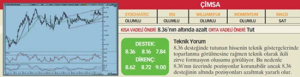 22 hisselik teknik analiz