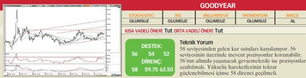 22 hisselik teknik analiz
