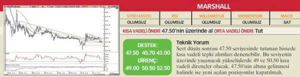 22 hisselik teknik analiz