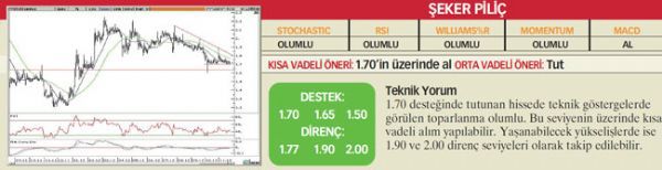 22 hisselik teknik analiz