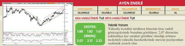 22 hisselik teknik analiz